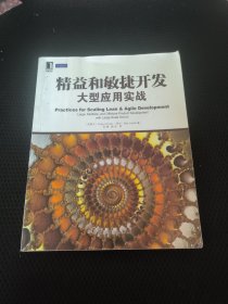 精益和敏捷开发大型应用实战