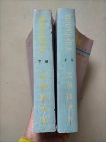 实用技术级（上，下）两册全  （1993年10月一版一印）