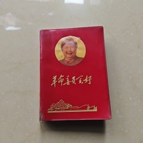 革命委员会好