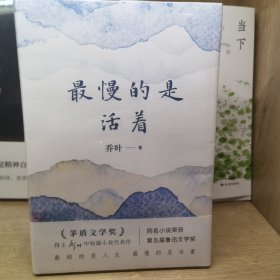 最慢的是活着(第十一届茅盾文学奖得主乔叶中短篇小说代表作