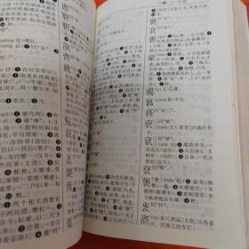 袖珍字海