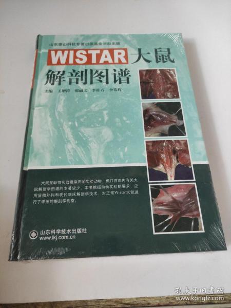 WISTAR大鼠解剖图谱