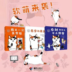 三花猫姐姐系列 注音版(全3册) (日)村上诗子 正版图书