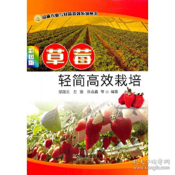 草莓轻简高效栽培（彩图版）/设施农业与轻简高效系列丛书