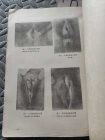 结合治疗妇产科常见病经验汇编