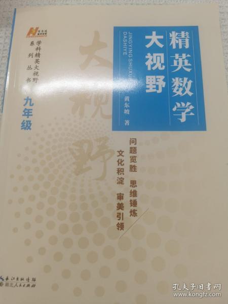 精英数学大视野九年级