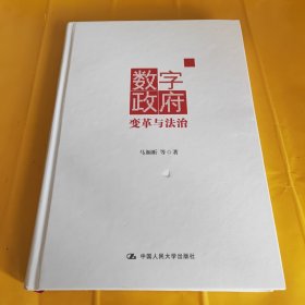 数字政府：变革与法治