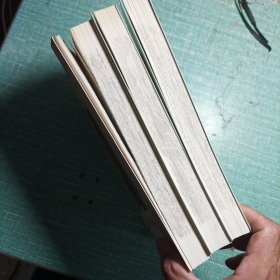 无愁河的浪荡汉子·朱雀城(全三册)