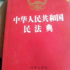 中华人民共和国民法典（32开压纹烫金附草案说明）2020年6月