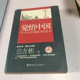 觉悟中国：当今社会问题的深层思考