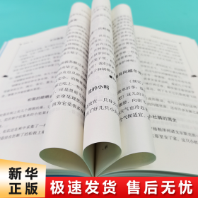 森林报·秋中小学课外阅读无障碍阅读智慧熊图书