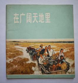 在广阔的天地里【1974年】人民美术出版社