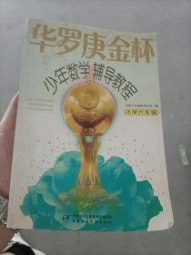 华罗庚金杯少年数学辅导教程-小学六年级