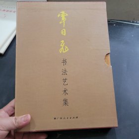 覃日飞书法艺术集（上中下）三册，盒子装