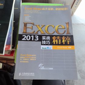 Excel 2013实战技巧精粹