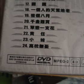 张宇替身  DVD