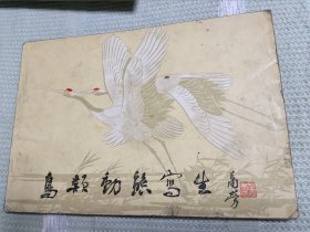 鸟类动态写生
