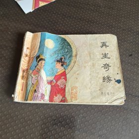 再生奇缘再生缘之十