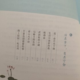 人生最美是清欢：林清玄经典散文集，执笔45周年白金纪念版