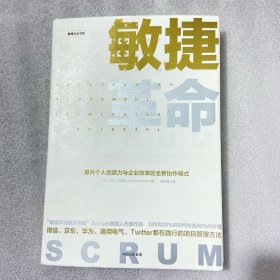 敏捷革命:提升个人创造力与企业效率的全新协作模式