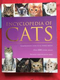 动物百科：猫Eneycopedia