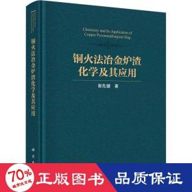 铜火法冶金炉渣化学及其应用 冶金、地质 郭先健