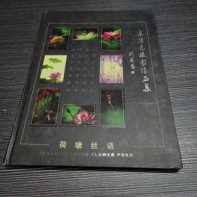 《荷塘丝语》 宋传光摄影作品集