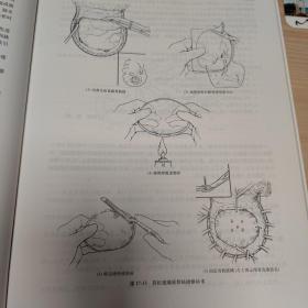 外科手术学