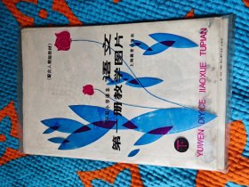 语文第一册教学图片（共15张，只有其中13张见图3）
