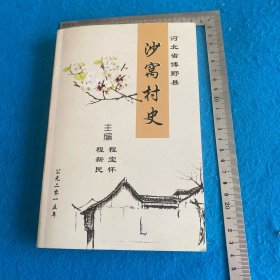 沙窝村史