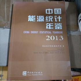 中国能源统计年鉴2013