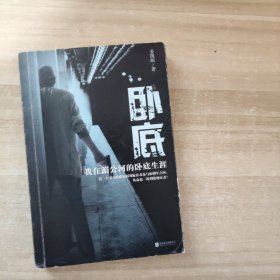 卧底：我在湄公河的卧底生涯