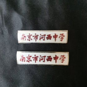 南京市河西中学校徽两枚