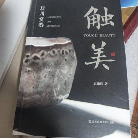 触美 玩用赏器