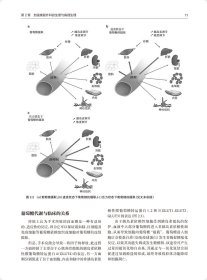 加速康复外科：改善治疗效果的完整路径（翻译版）