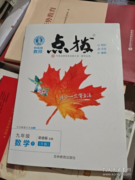 2023春特高级教师点拨九年级数学下册人教版初三9年级数学同步教材全解全析完全解读中学特高级教师讲解出版