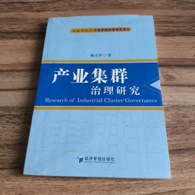 产业集群治理研究