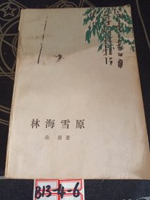 林海雪原