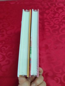 儿童阅读100问 ：红卷/橙卷合售