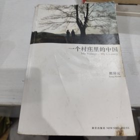 一个村庄里的中国