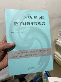 2020年中国数字财政年度报告