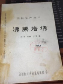 沸腾焙烧 硫酸生产技术 复印本