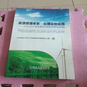 能源管理体系从理论到实践：山东省企业能源管理体系建设案例