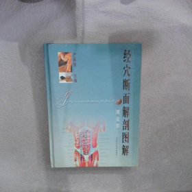 经穴断面解剖图解腹盆部