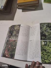 1500种中草药野外识别彩色图鉴