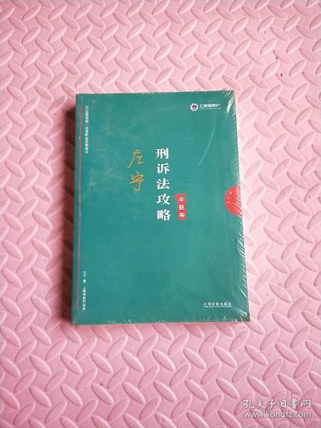 司法考试2019 上律指南针 2019国家统一法律职业资格考试：左宁刑诉法攻略·讲义卷