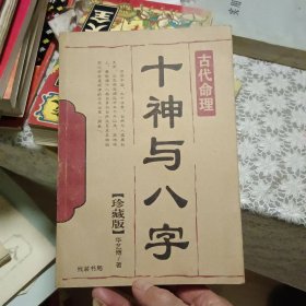 十神与八字