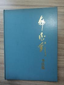 韩德彩书法集（作者中国人民解放军空军中将）16开精装本，毛笔签名钤印本