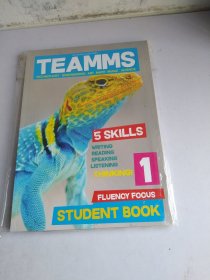 TEAMMS 1（4本）
