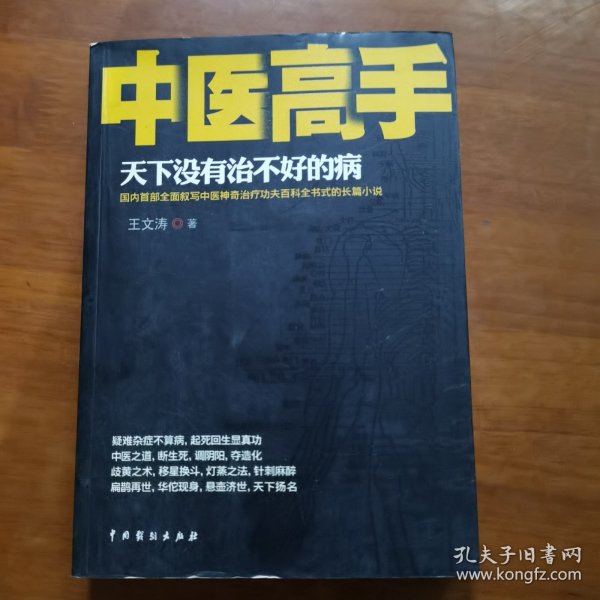 中医高手：天下没有治不好的病（馆藏）（放阁楼位）